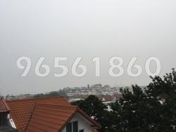 Springwood (D5), Terrace #85162172